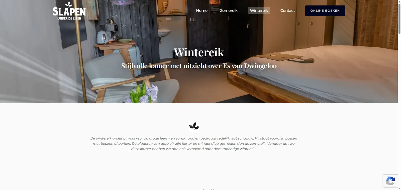 Wintereik